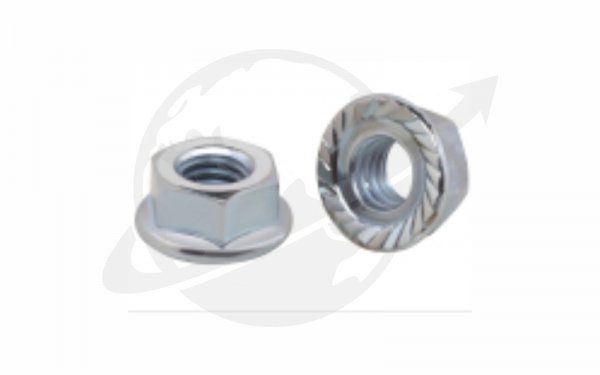 Flange Nut