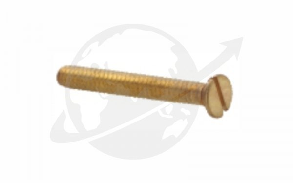 Screw